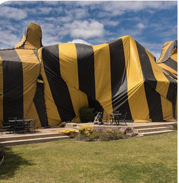 Termite tenting security Orlando FL