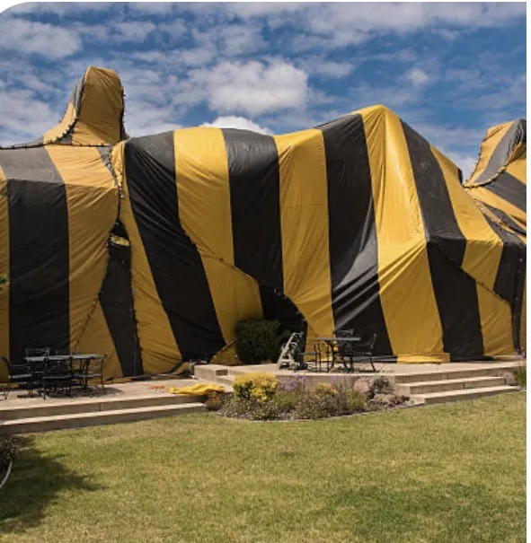 Termite tenting security Orlando FL